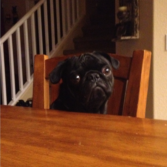 Meet your Posher, Kate - Picture 4 of 9